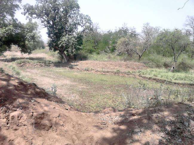 बेतला नेशनल पार्क : हो रही मशक्कत ताकि प्यासे न भटके वन्य जीव