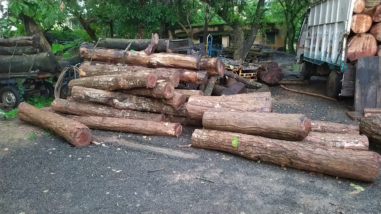 झारखंड से कीमती लकड़ी का तस्करी जारी, बंगाल जा रहे अवैध लकड़ी बरामद