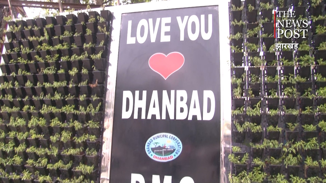 कोयलांचल की खूबसूरत वर्टिकल गार्डेन को उजाड़ने में जुटे हैं असमाजिक तत्व