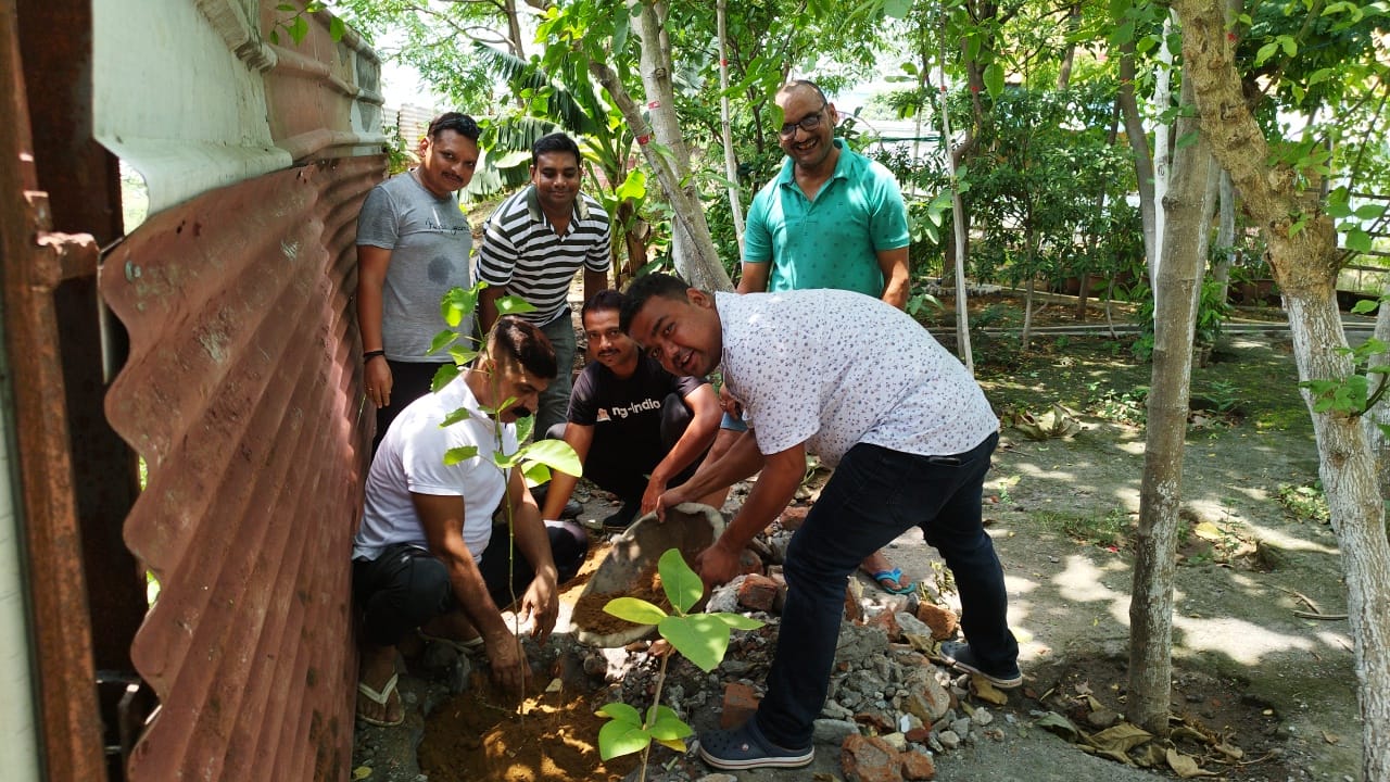 पर्यावरण दिवस: ऐसे पौधे जो कई रोगों को करेंगे दूर-लौहनगरी के ब्लेडमैन ने आज ऐसा ही किया रोपण