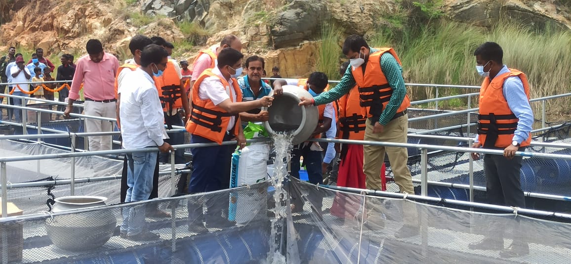 'केज कल्चर' अपना कर पशुपालन के क्षेत्र में आगे बढ़ेगा दुमका, जानिए क्या है केज कल्चर