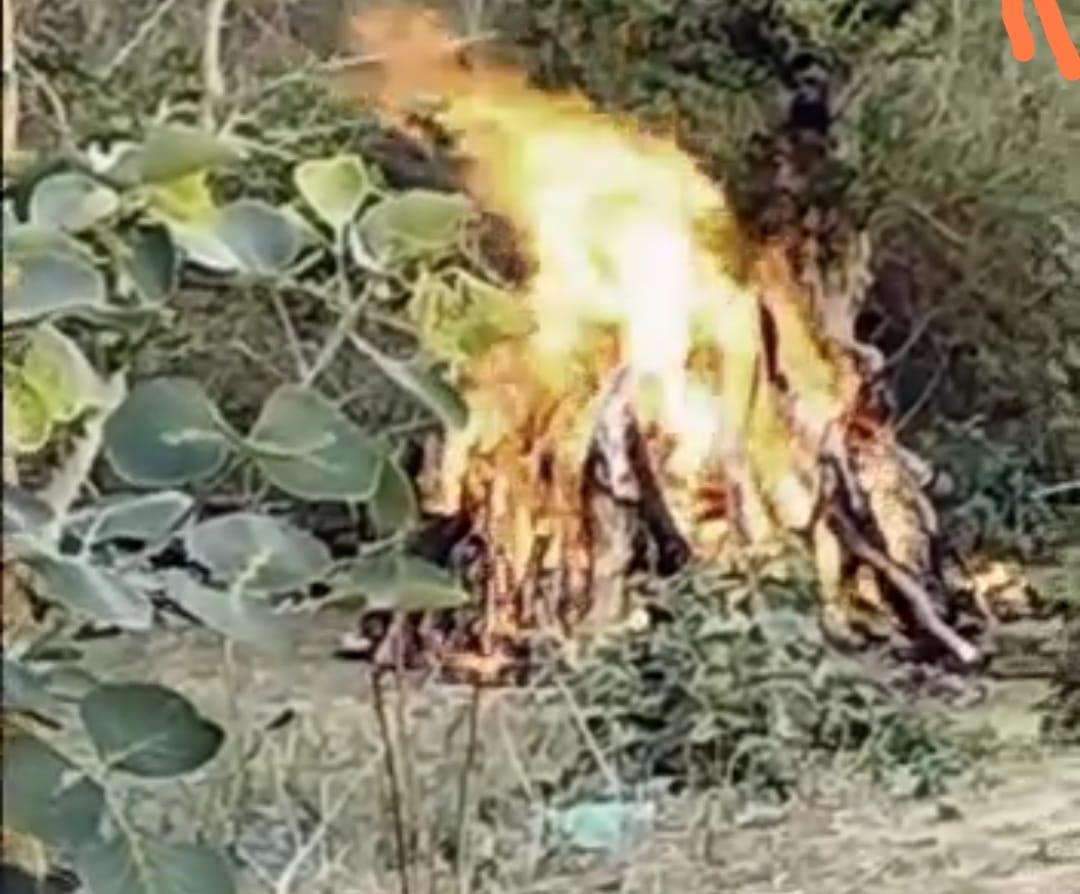 तंत्र मंत्र के चक्कर में सगी बहन की दे दी ब'लि,  5 लोग हिरासत में