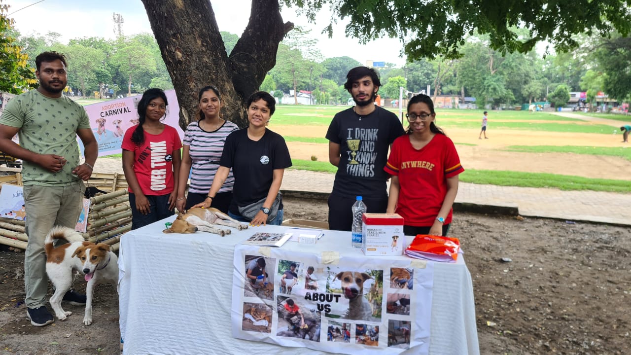 हम देशी , तो कुत्ते विदेशी क्यों ? लौह नगरी में स्ट्रीट डॉग और बिल्लियों को मिल आशियाना, लोगों ने बड़े प्यार से किया इनका स्वागत!