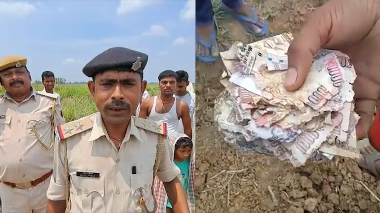 खेत से निकले लाखों रुपये के पुराने 500 और 1000 के नोट, रद्दी नोट के लिए भी ग्रामीणों में मारामारी