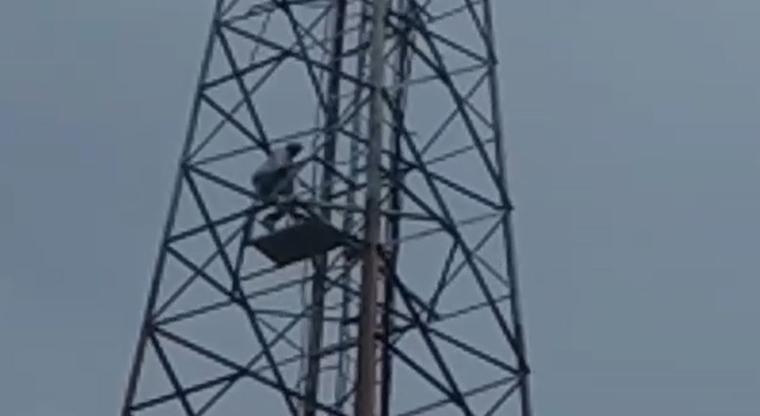  मोबाइल टावर पर चढ़ कर वार्ड पार्षद का हाईवोल्टेज ड्रामा, किसके कहने पर उतरे टावर से ,  पढ़िए पूरी खबर