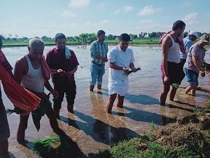 लुंगी पहन कर आखिर खेत में ये क्या करने लगे शेखपुरा के डीएम सावन कुमार, हो रही है तस्वीर वायरल