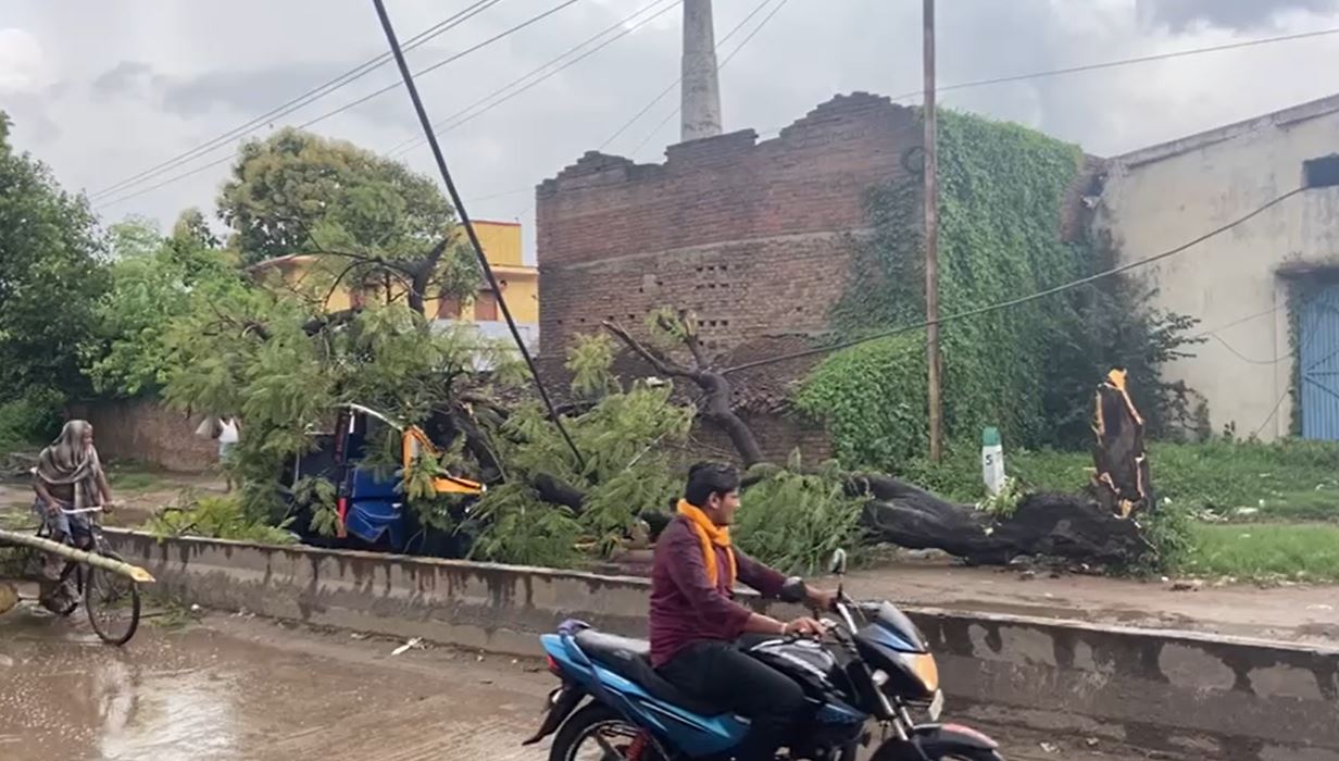 पटना सिटी में बीच सड़क पर चलती ऑटो पर गिरा विशाल पेड़, दो लोग घायल 