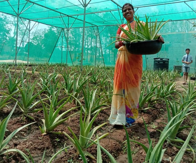 पीएम नरेंद्र मोदी ने मन की बात में रांची की किस महिला किसान का जिक्र किया....पढ़े पूरी खबर