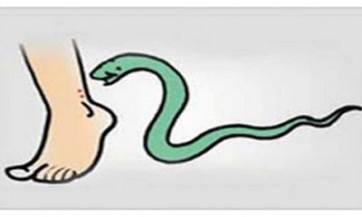 सिमडेगा: सांप काटने से 50 वर्षीय व्यक्ति की इलाज के दौरान मौ'त