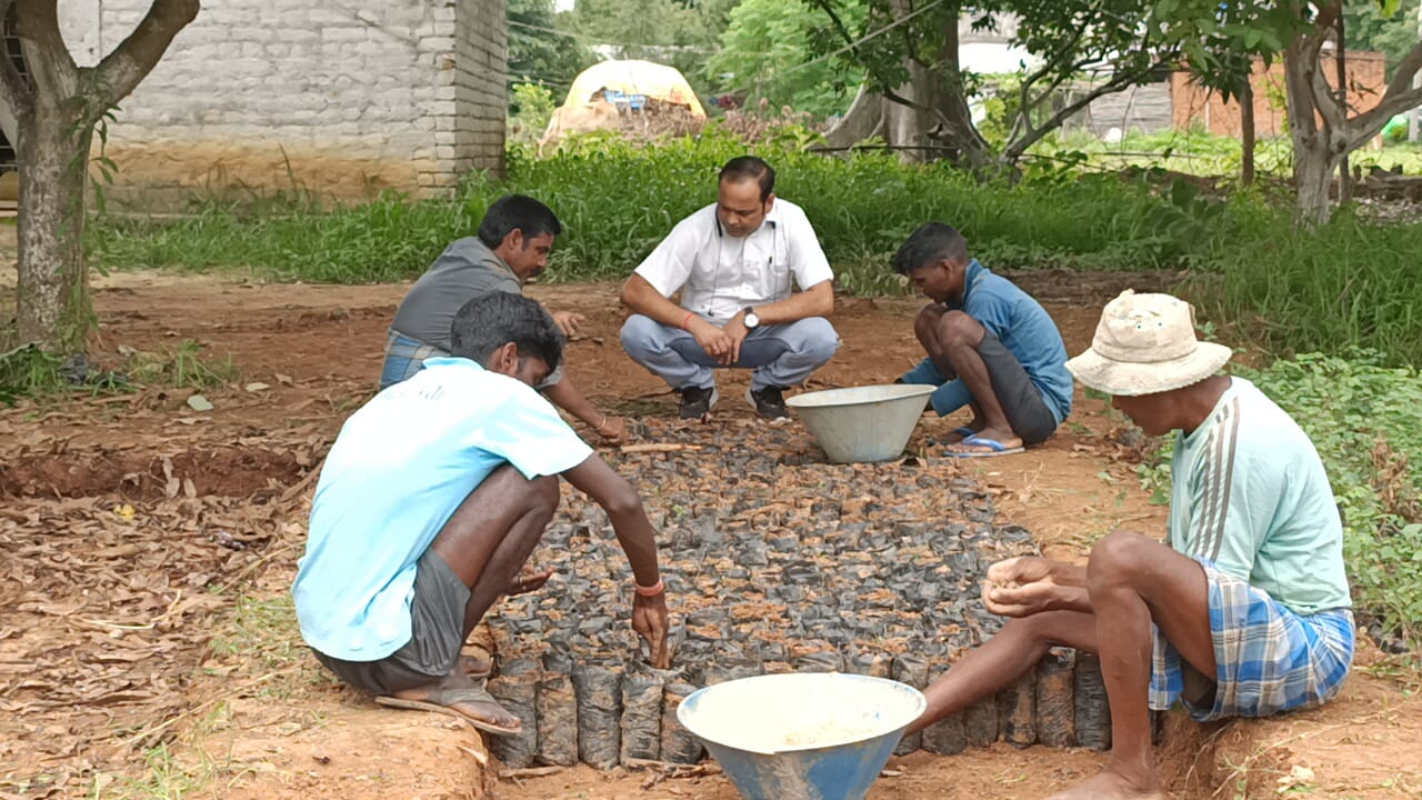 वृक्षारोपण के लिए गुमला वन विभाग ने कसी कमर, तैयार किये जा रहे पौधे   