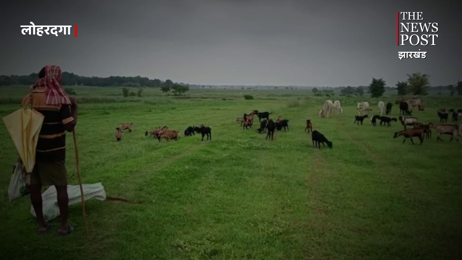 स्वरोजगार योजना से महिलाएं बन रही आत्मनिर्भर, पशु पालन से मिल रहा आर्थिक मजबूती