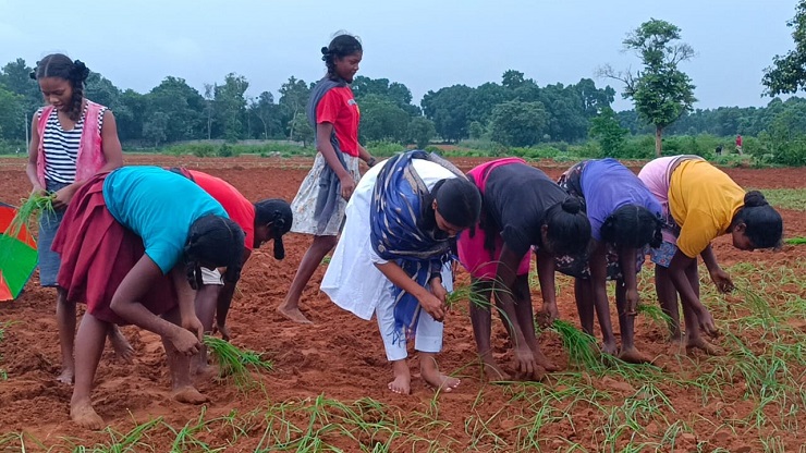 मांडर विधायक Shilpi Neha Tirkey ने किया मडुआ रोपनी, पढ़िए क्या कहा