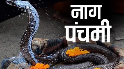 नागपंचमी आज: क्या है इस दिन का विशेष महत्व और पूजा के लाभकारी पक्ष, जानिए