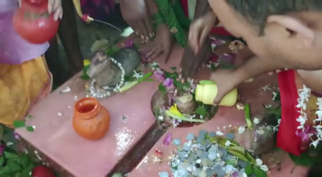 श्रावण माह विशेष: अगर नहीं कर पाएं द्वादश ज्योतिर्लिंग पर जलाभिषेक, तो नर्वदेश्वर महादेव पर जलार्पण कर बन सकते हैं पुण्य के भागी