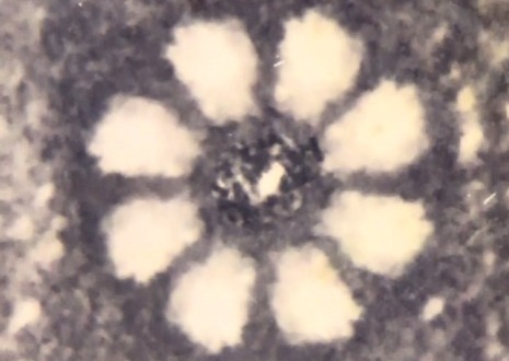 बैद्यनाथ धाम: यहां रावण ने स्थापित किया गया था चंद्रकांता मणि, जानिए इस अमूल्य रत्न की विशेषता