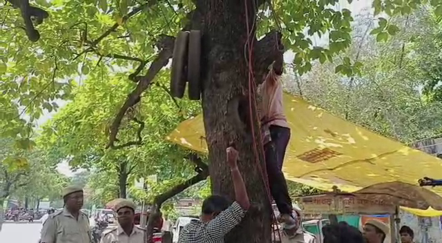 अच्छी पहल: अब पेड़ों पर कील ठोकना पड़ेगा मंहगा, ऐसा करने वालों पर वन विभाग करेगा कार्रवाई