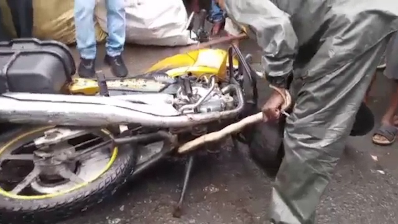 बाइक में घुसा सांप, निकालने के लिए करना पड़ा मशक्कत, थोडी देर के लिए थम गई ट्रैफिक