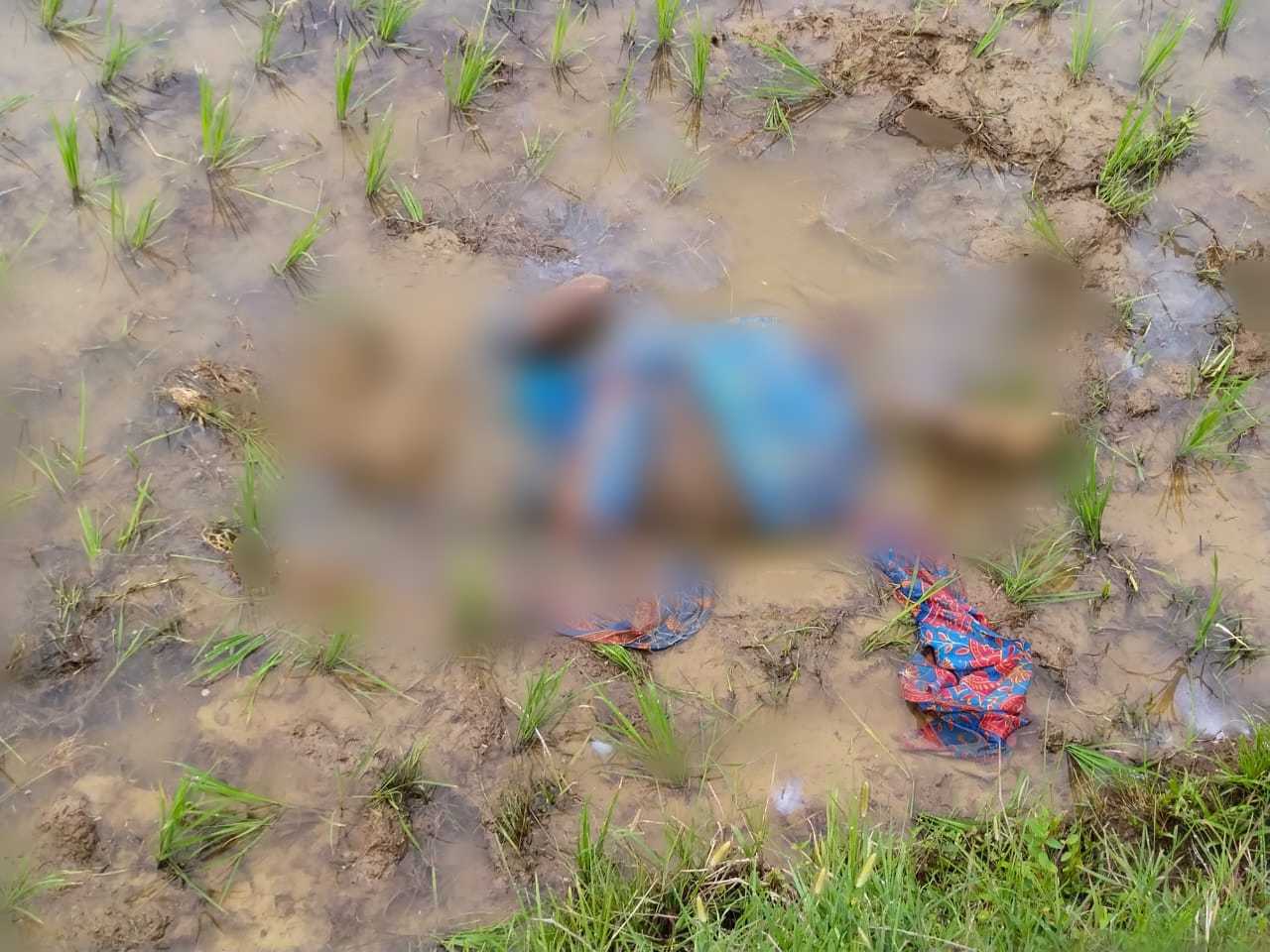 खेत में मिला महिला का शव, परिजनों ने जताई हत्या की आशंका