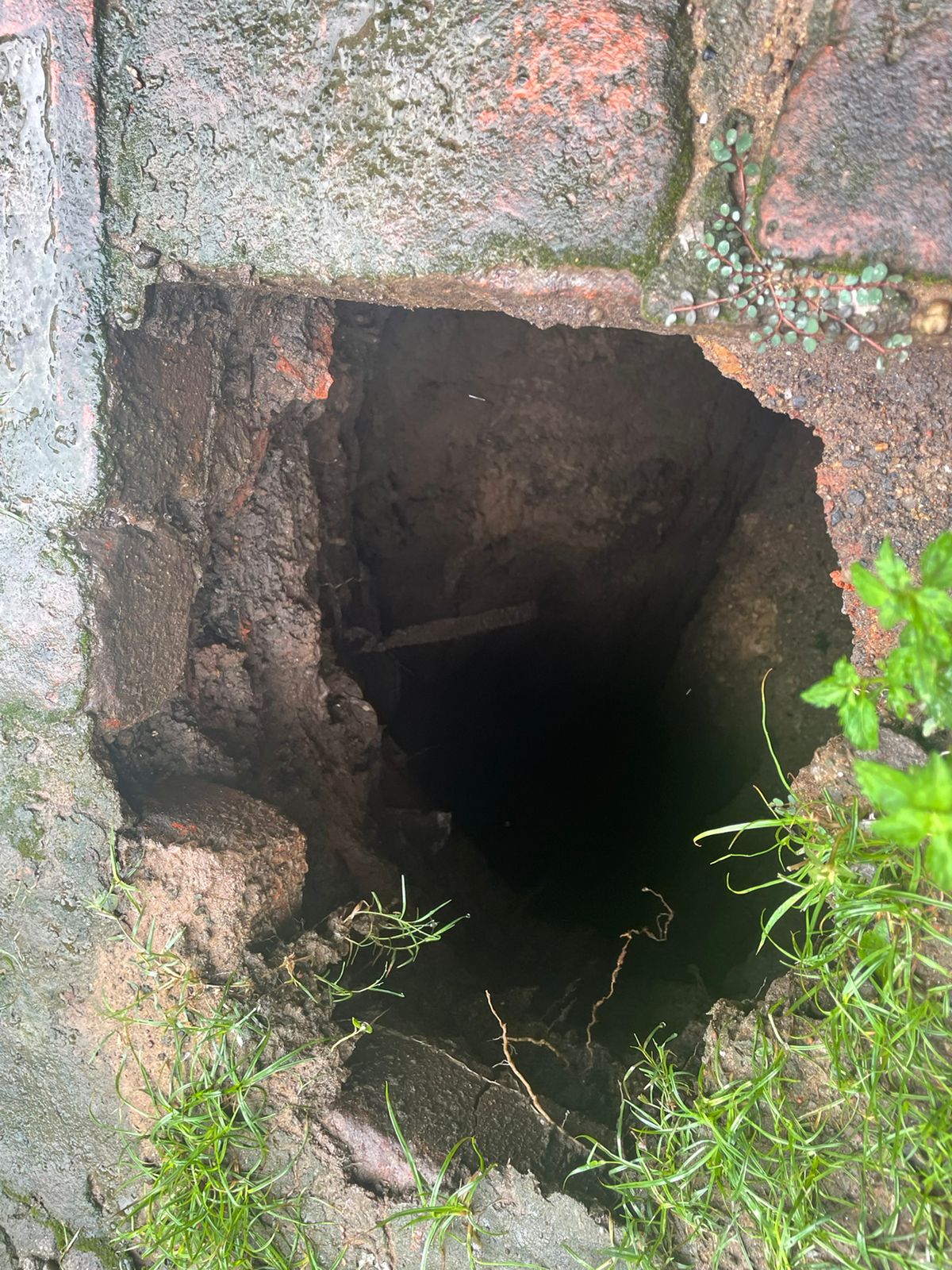 भदरीचक में घर के आंगन में बना बड़ा गोफ, फिर क्या हुआ आप भी जानिए