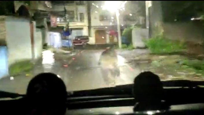 चाईबासा: हाटमहरिया में एक किसान के चेहरे और आंख को जंगली भालू ने नोच डाला, जमशेदपुर रेफर