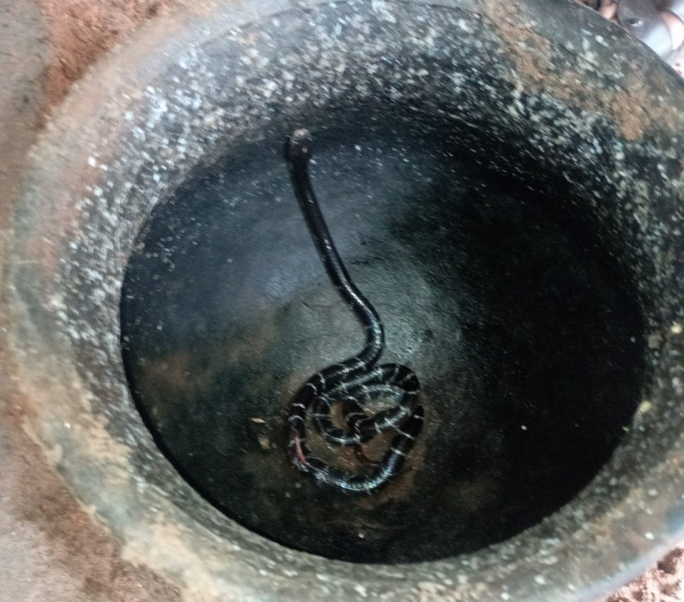 झाड़-फूंक में लगे रहे लोग, और हो गई महिला की मौत, जानिए वजह