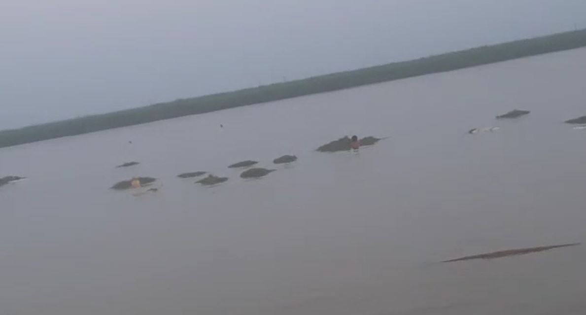 पटना: गंगा में दो नाव के आपस में टकराने से एक डूबी, सवार 45 लोगों को निकाला गया सुरक्षित, 10 अब भी लापता