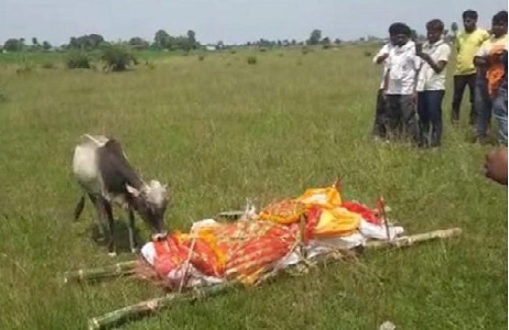 तस्वीर देखकर हैरान रह गए न! जब खबर पढ़ेंगे तो भावुक हुए बिना नहीं रहेंगे आप