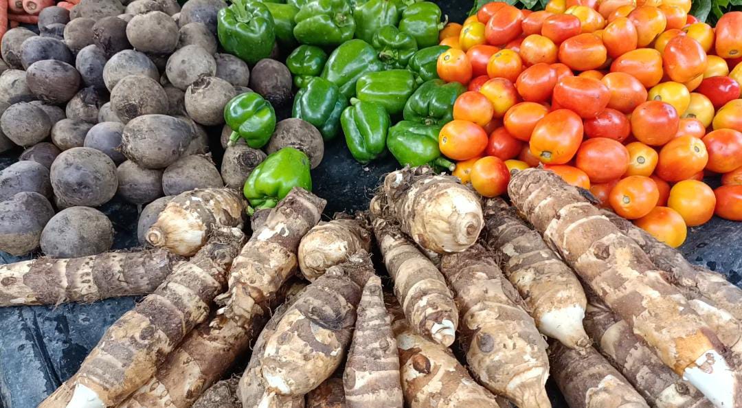  मां भले ही खाट पर हो लेकिन जिउतिया कैसे छोड़ेगी 