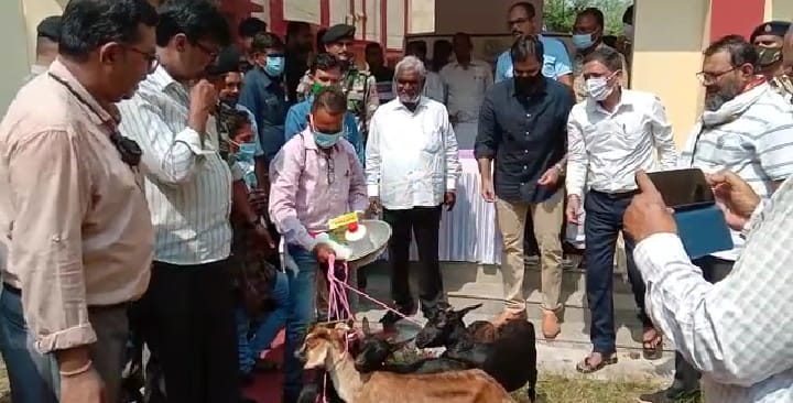  लोगों को आत्मनिर्भर बनाएगी मुख्यमंत्री पशुधन विकास योजना - चंपई सोरेन