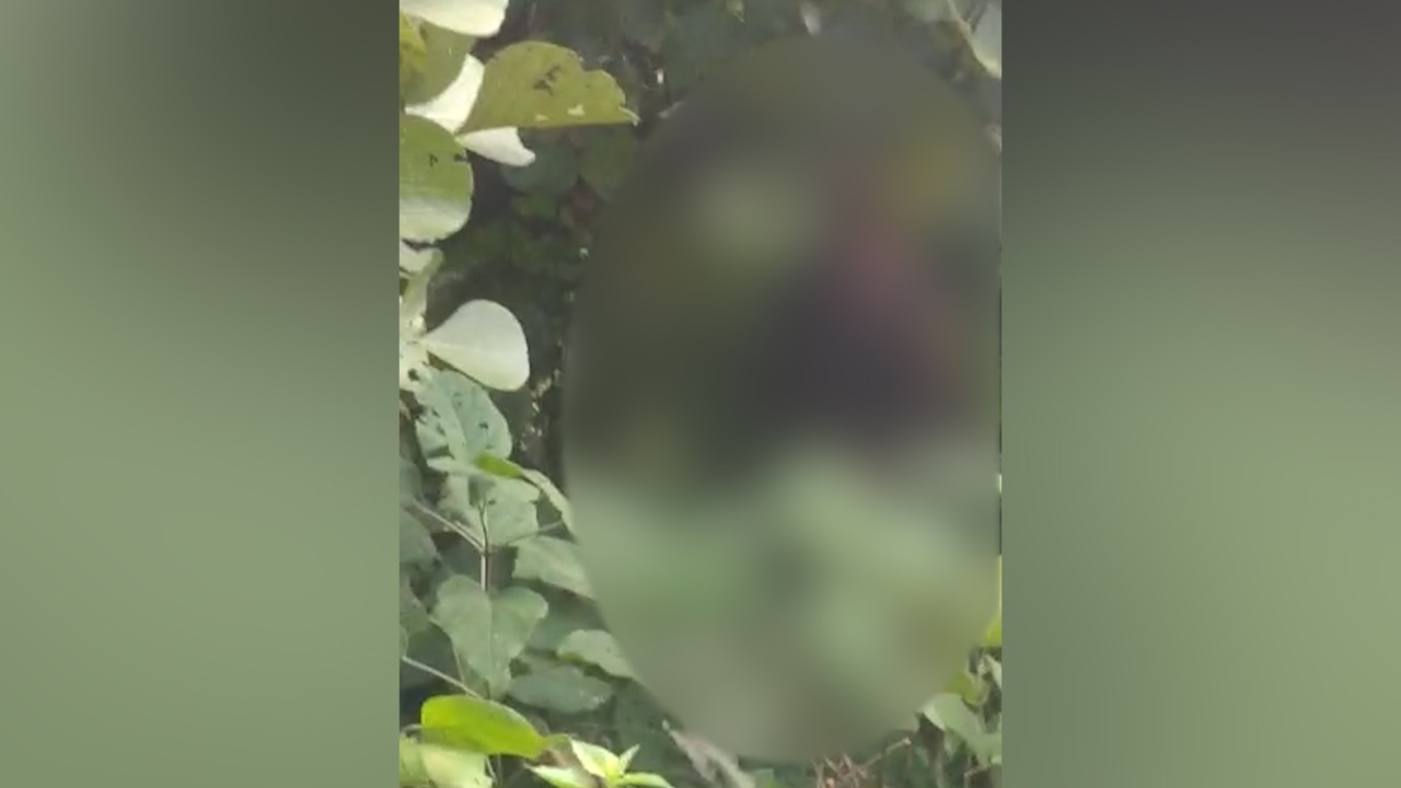 दुमका : पेड़ से झूलता मिला लापता किशोरी का शव, क्षेत्र में सनसनी