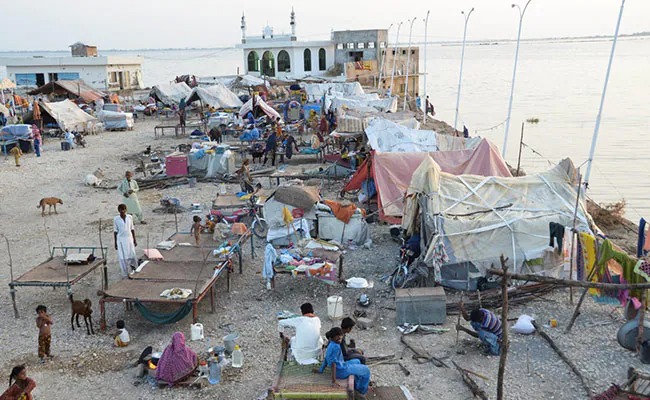 मलेरिया से बुरी तरह जूझ रहे पाकिस्तान को आई पड़ोसी की याद, भारत से खरीदेगा 6.2 मिलियन से अधिक मच्छरदानी