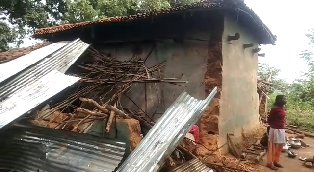 हाथियों के झुंड ने लोहरदगा-लातेहार जिले के सीमाने पर जम कर मचाया उत्पात, एक बछड़े को कुचला, हज़ारों फसल बर्बाद