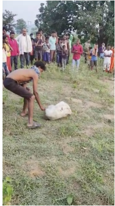 पांच दिन से जिस बच्चे की हाे रही थी तलाश, पास के कुएं में मिली उसकी लाश