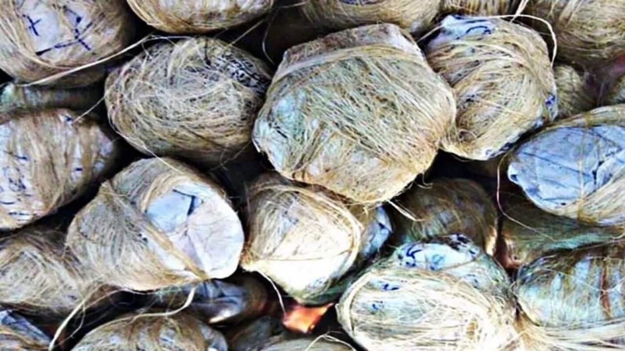 गेंद समझकर बच्चे ने उठा लिया बम, जानिए फिर क्या हुआ