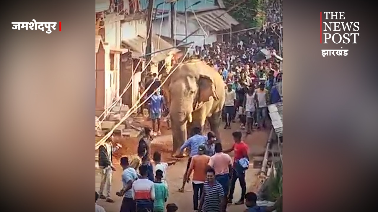 जब बाज़ार में अचानक आ पहुंचे गजराज, किसी ने खींची सेल्फी तो कोई हुआ मौके से फरार 
