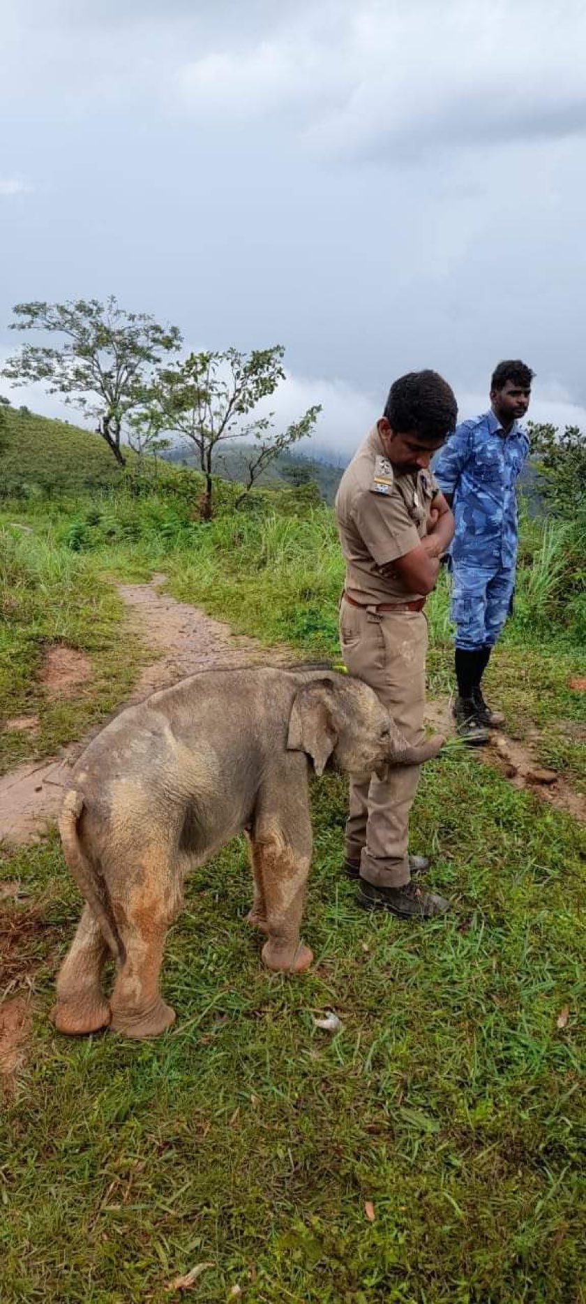 मां से मिलने के बाद फॉरेस्ट अफसर पर लुटाया लाड़, देखिए वायरल हो रही हाथी के बच्चे की यह तस्वीर