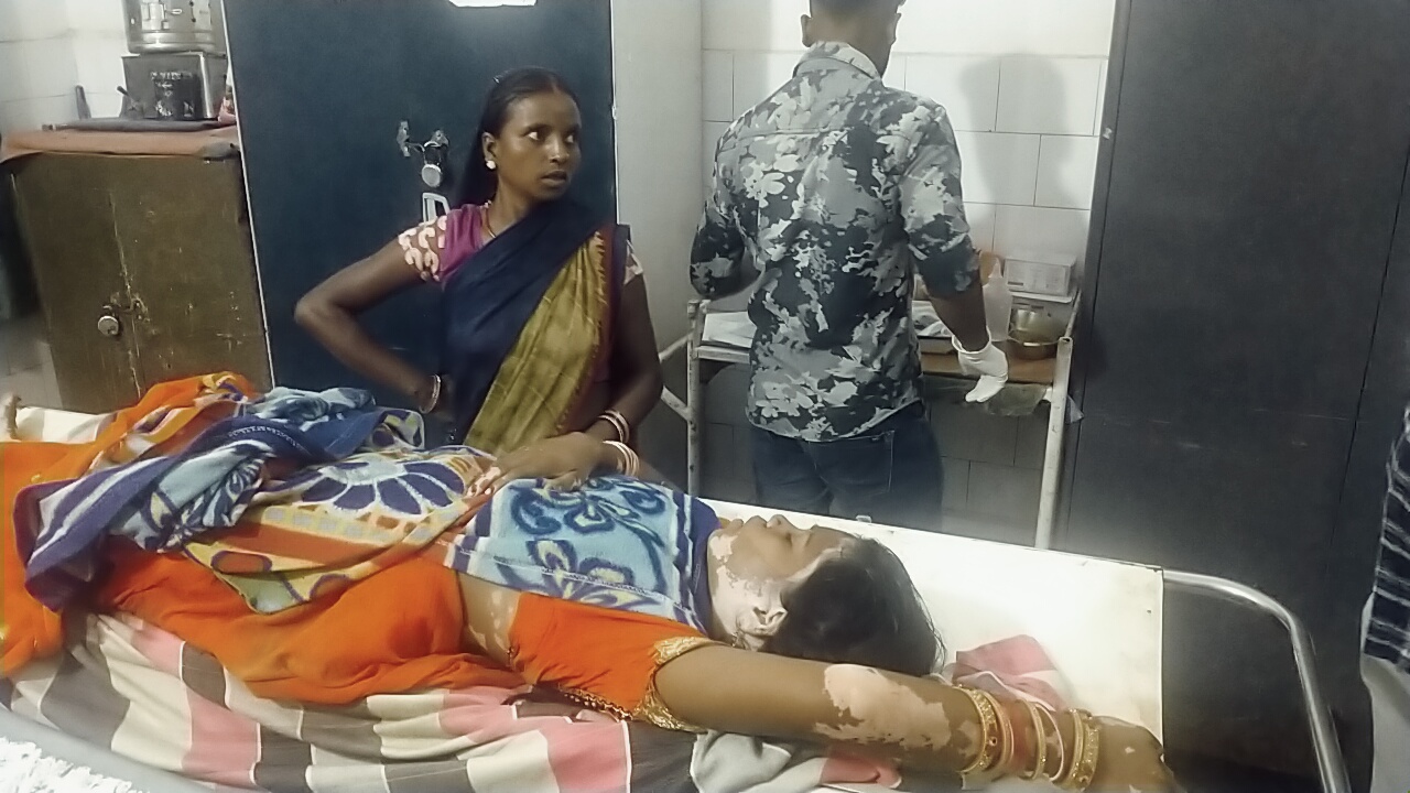 जंगली हाथी के आतंक से दहशत में जी रहे गिरिडीह के लोग, चार दिन में चार की मौत