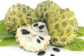 शरीर के हर रोग के लिए रामबाण  है सीताफल की चाय ! दिल की बीमारी हो या स्किन में चाहिए ग्लो, सभी के लिए कारगर है यह एक फल 