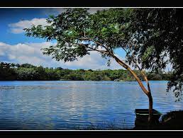 आप भी कर रहे हैं पिकनिक की तैयारी ! तो आईए हम बताते हैं झारखंड के मशहूर पिकनिक स्पॉट के बारे में