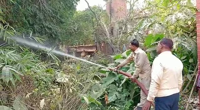 देवघर: बांस की झाड़ियों में अचानक लगी आग, लोगों ने सूझबूझ से आग पर पाया काबू