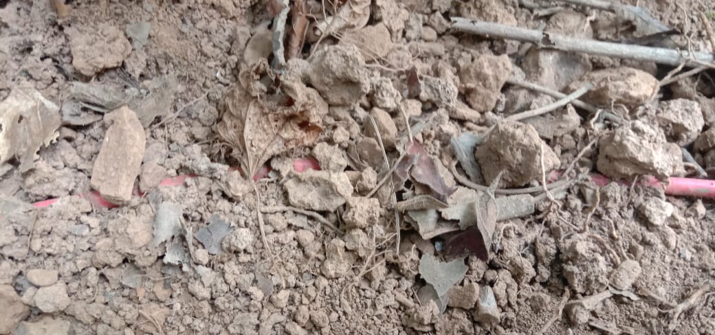 चाईबासा: नक्सलियों ने पुलिस को उड़ाने के लिए लगा रखा था 5-5 केजी के दो आईईडी बम, सर्च अभियान के दौरान पुलिस नें किया बरामद