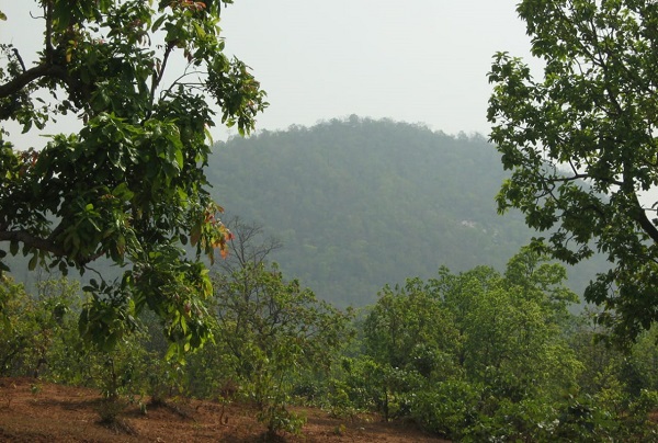 रहस्यमयी गुफाओं के साथ बहता झरना, पिकनिक के लिए बोकारो झुमरा पहाड़ है बेहद खूबसूरत
