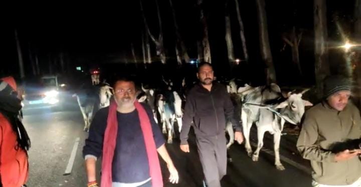 UPDATE : सांसद ने 150 पशु को तरस्करी की जाल से बचाया, ट्वीट कर दी जानकारी 