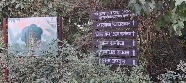 पर्यटकों के लिए आकर्षण का केंद्र बन रहा देवघर का बायो डाइवर्सिटी पार्क, नदी-पहाड़ के साथ यहां दिखाई देते हैं 40 प्रजाति के पक्षी