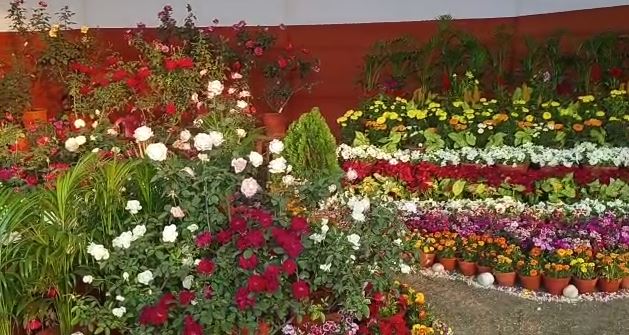जमशेदपुर: गोपाल मैदान की फिजाओं में महकी फलों की खुशबू, नए साल में ले फ्लावर शो का मजा