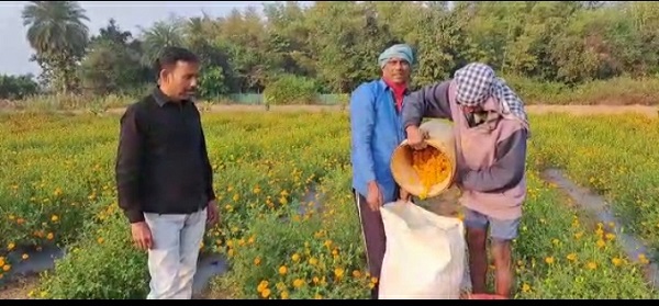 बंजर जमीन पर फूल उगा कर कर रहे चमत्कार, जानिए कैसे फूलों की खेती बनी आर्थिक आधार