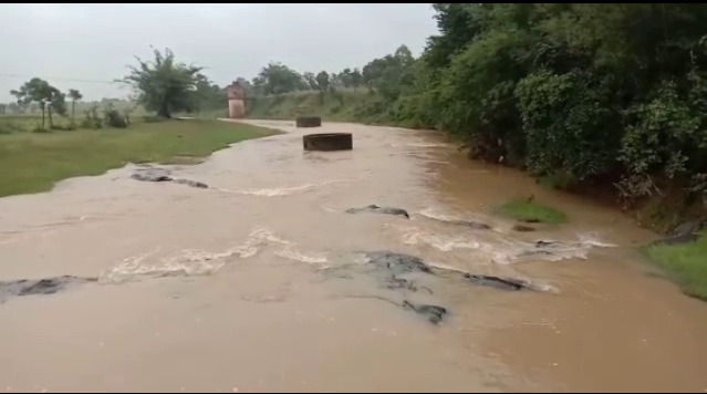 स्थानीय युवक ने दिखाई बहादुरी..दो बहनो को  नदी में डूबने से बचाया