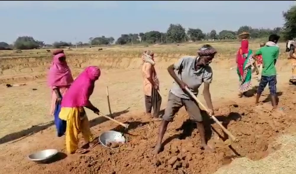 मनरेगा में तीन वर्ष में बढ़ी महिला श्रमिकों की भागीदारी, वर्ष 2022-23 में अबतक 9 करोड़ मानव दिवस का सृजन