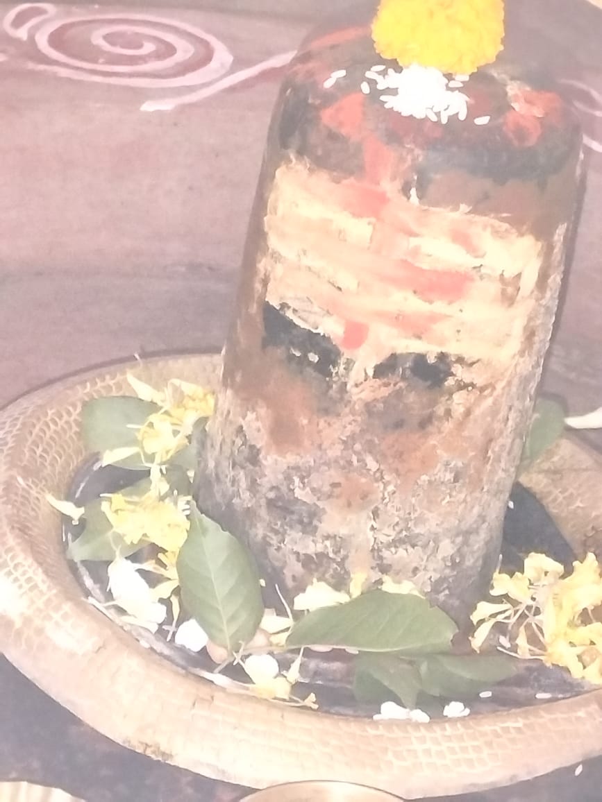 गजब करिश्मा! इस मंदिर में शिवचर्चा के दौरान शिवलिंग में उभरी नेत्र जैसी आकृति, दर्शन के लिए उमड़ी भक्तों की भीड़ 