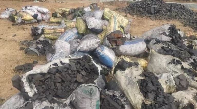 गिरिडीह: पुलिस की बड़ी कार्रवाई, अवैध रूप से डंप किए गए 120 बोरा कोयला जब्त, बिहार भेजने की थी तैयारी